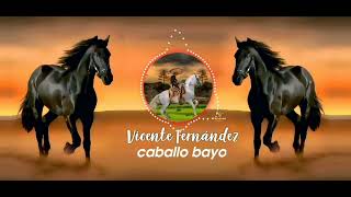 caballo bayo ♡ Vicente Fernández