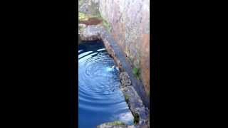 Near death cliff jump at blue lake Friog in Wales