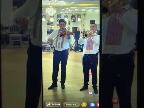 ❌Lăutarii din chisinău 2️⃣0️⃣2️⃣2️⃣💥 ✅ Hora Lui Vasile Gașițoi 💥 NEW💯