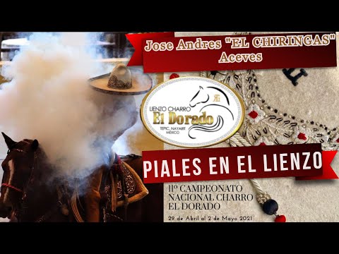 PIALES EN EL LIENZO 3 de 3 Jose Andres "EL CHIRINGAS | 11° Campeonato Nacional Charro El Dorado 2021