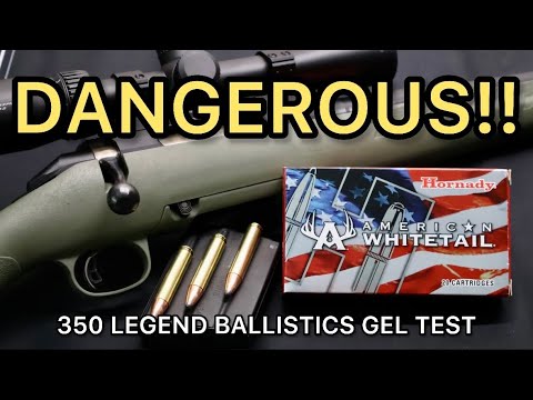 DANGEROUS?! 350 Legend Hornady American Whitetail 170gr Ammo Test