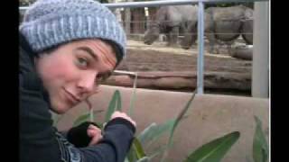 Broken Wing by Thomas Fiss (w/ Lyrics)