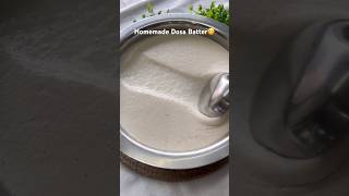 Download lagu Homemade dosa batter|Dosa batter #cookwithnidhiii #dosabatter #dosabatterrecipe #trending #youtube mp3 Download lagu Homemade dosa batter|Dosa batter #cookwithnidhiii #dosabatter #dosabatterrecipe #trending #youtube mp3