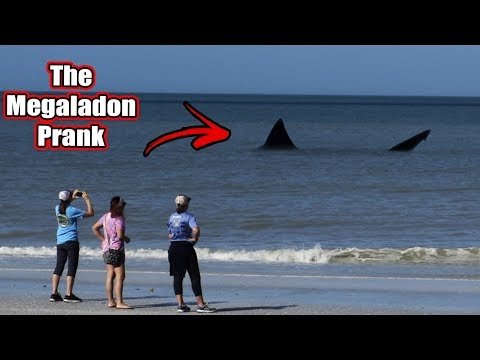 The Megalodon Shark Prank In Florida (Fishing For Tourists)