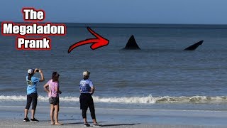 The Megalodon Shark Prank In Florida (Fishing For Tourists)