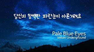 [Play] 건조하면서도 다정한 노래 | Velvet Underground - Pale Blue Eyes(가사해석포함)