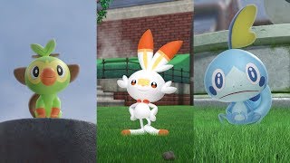 Forge a Path to Greatness in Pokémon Sword and Pokémon Shield! ⚔ 🛡