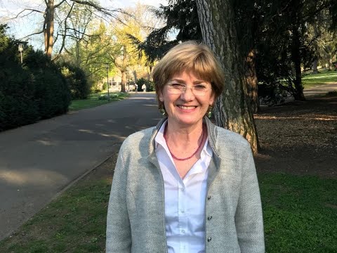 Mainz in zwei Minuten - Was vom Lustschloss Favorite übrig blieb