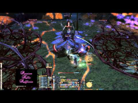 Coil Turn6 Rafflesia Kill