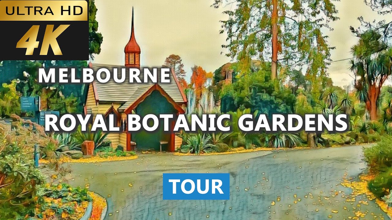 Embark on a mesmerizing walking tour of Royal Botanic Gardens Victoria.