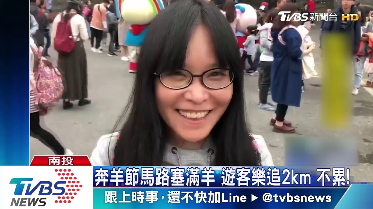 綿羊大軍上街頭! 走錯路、暴衝 遊客追羊跑