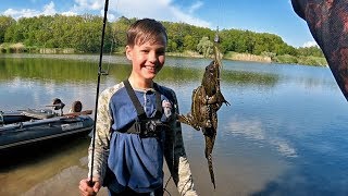 Как поймать лягушек с помощью бочки
