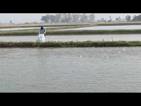 32/6 Premium Starter Floating Fish Feed 1MM (Aqua Starter)