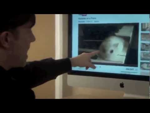 Hamster on a Piano + DEREK