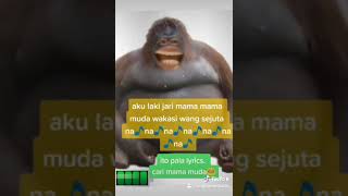 Download lagu MAMA MUDA SONG | CARI MAMA MUDA LYRICS mp3