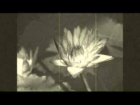 Wenskat - After I Say I´m Sorry