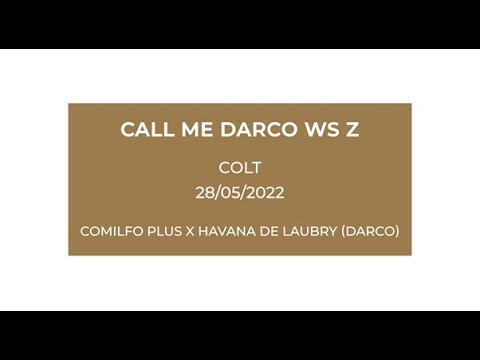 Call Me Carco WS Z