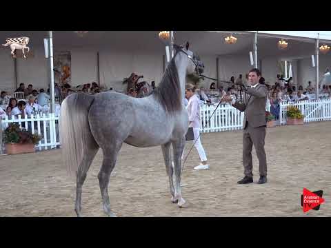 N.124 POSEIDON KA - Menton 2019