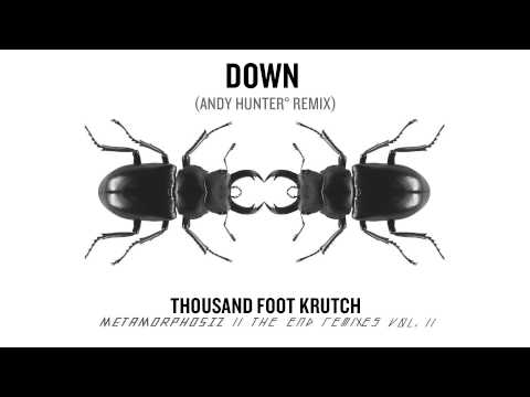 Thousand Foot Krutch: Down (Andy Hunter° Remix) (Official Audio)