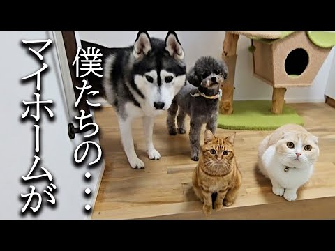 家を処分することになりました...