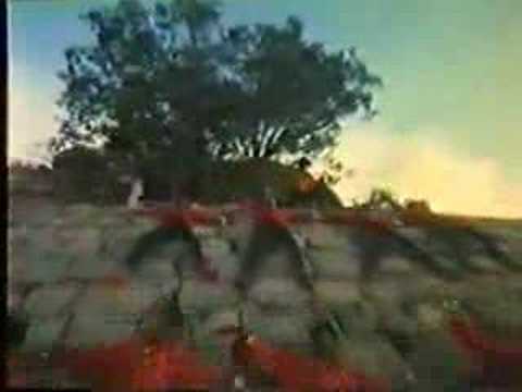 Vijaya Anand – Dance Raja Dance [Neeve Nanna (Only You Were Mine)] (Official Video)