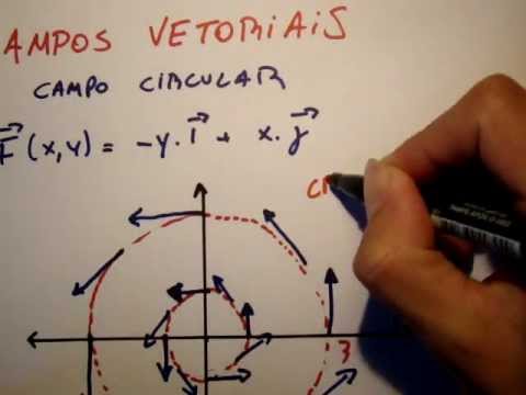 Campos vetoriais: campo circular ou campo de spin | Vetores | Me Salva!