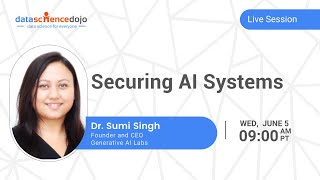 Securing AI Systems