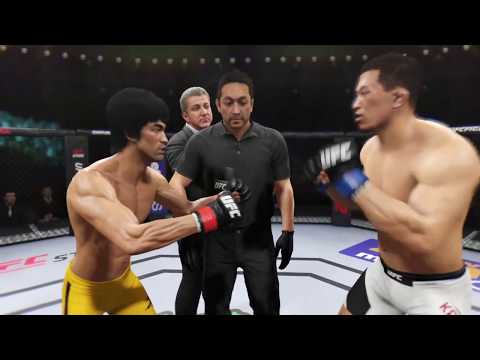 Bruce Lee VS The UFC - Tatsuya Kawajiri