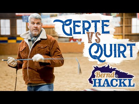Gerte vs Quirt | Bernd Hackl erklärt! 🐴