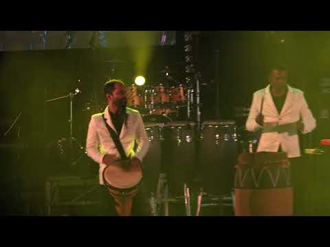 Elephant Foot @ The Bera Fest 2017