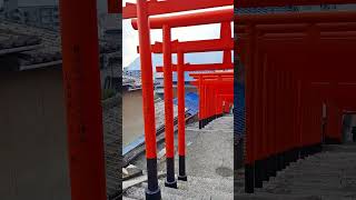 広島県三原市 大島神社連立鳥居