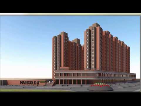 3D Tour Of Gala Marigold