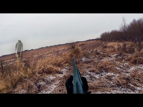 ОХОТА НА ХИТРЫХ ЗАЙЦЕВ по первому снегу. Охота на зайца зимой 2019-2020