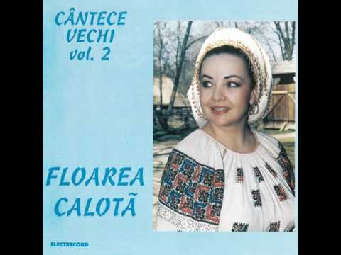 Constandine, Constandine - Floarea Calotă