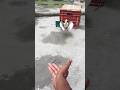Pigeon Training Pigeons Reaction Publicreaction Kabutar Pigeonshorts Trendingshorts
