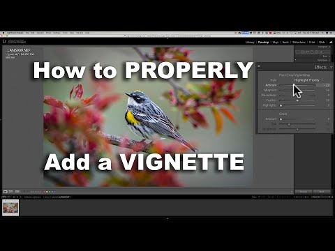 YouTube video about Enhancing Your Photos with a Stunning Lightroom Vignette