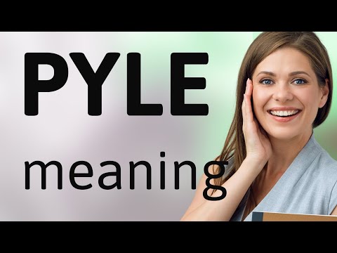 Pyle • what is PYLE meaning