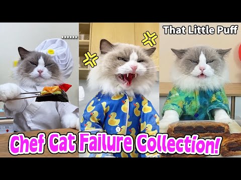 😂Funniest Fails Collection! Part2 | That Little Puff