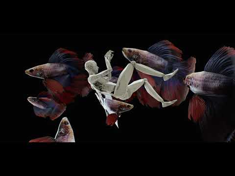 New Rome - Childish Comeback (feat. Baasch)