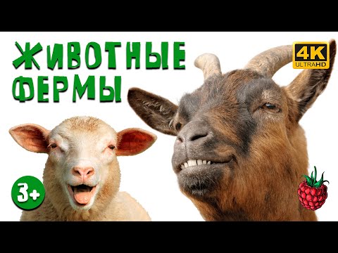 ЖИВОТНЫЕ ФЕРМЫ для детей | Как говорят животные?