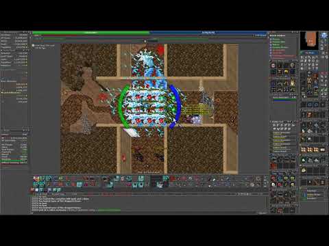 Tibia Duo RP ED 500+ Cobras