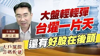 大盤輕輕彈 台燿一片天 還有好股在後頭 (圖)