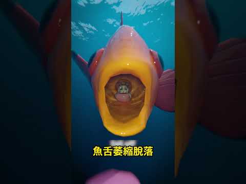 魚嘴裡跑出來了可怕的生物