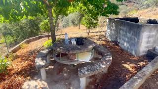 Amazing Property 3.6HA | Central Portugal | 82.500€