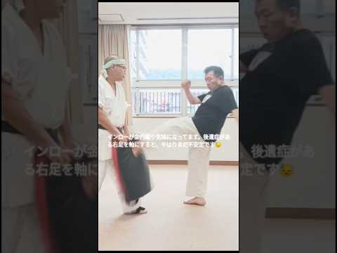 岐阜空手サークルで、インローを蹴らせて貰うわし…。