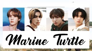 Download lagu [THAISUB/แปล] NCT U 엔시티 유 - Marine Turtle (Korean Version) #มายน์ไทยซับ mp3