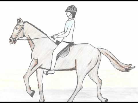 Islamische Kindergeschichten - Youme Massihe maud as