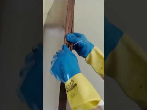 atendimento em Petrolina Pernambuco, Juazeiro e região. #petrolina #casa #pragasurbanas