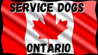 Service Dogs ONTARIO, CANADA Introduction, Laws, Guide, FAQs & MORE