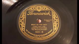 Chester Gaylord - What Do You Say? (1928)